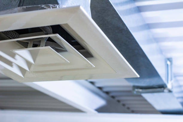 Best Air Duct Sanitizing Services  in Blaine, MN